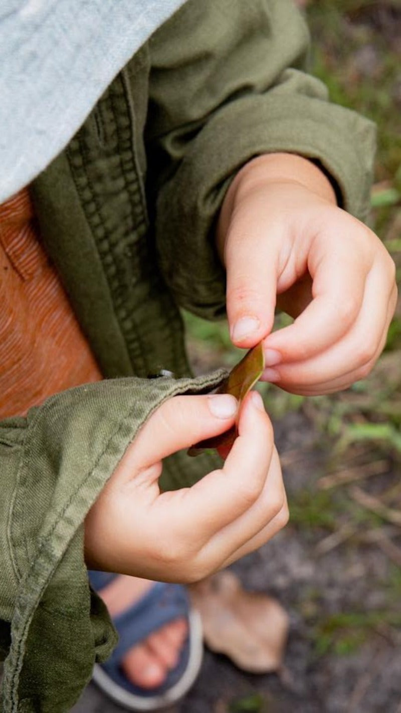 Bushfood and Aboriginal Culture Tour - Saturday 12 July 2025 (NAIDOC Week) in Narrawallee