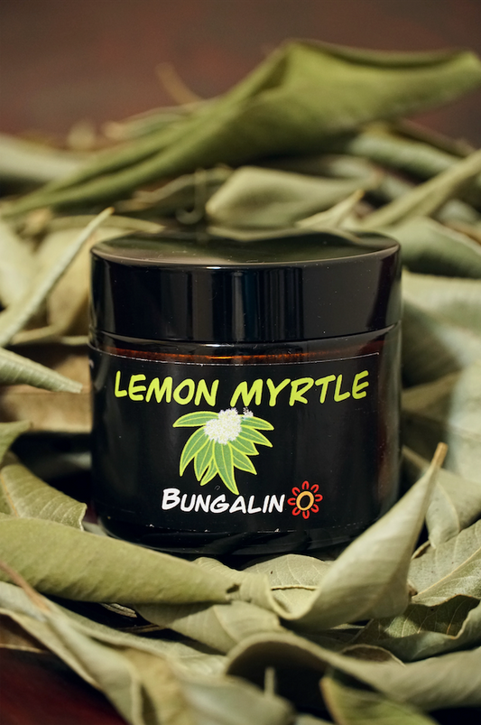Lemon Myrtle Tea 20g