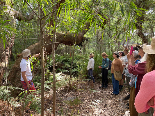 Traditional Aboriginal Rock Art Walk on Country - Saturday 30 August